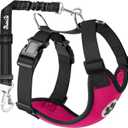 SlowTon Dog Seat Belt Harness for Car, Dog Car Harness Adjustable Mesh Breathable & Dog Seatbelt Safety Tether with Elastic Bungee (Fuchsia, Double Clip, M)