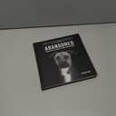 Abandoned: Chronicling the Journeys of Once-Forsaken Dogs
