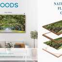 arteWOODS Green Forest Framed Canvas Wall Art Oak Trees Covered Lane Pictures Art Print Green Nature Landscape Artwork Oak Trees Lined Road at Georgia, Natural Wood Frame, Ready to Hang, 20" x 40"
