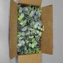 DearHouse Faux Eucalyptus Garland Plant, 2 Pack Artificial Vines Hanging Eucalyptus Leaves Greenery Garland for Wedding Backdrop Arch Wall Decor, 6 Feet/pcs UV Protected Indoor Outdoor