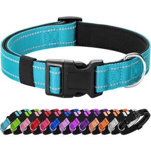 Reflective Dog Collar Padded with Soft Neoprene Breathable Quick Release Basic Dog Collars for Large Dogs Sky Blue Boy (L:width 1"neck 17.5-27")