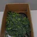 2.3 FT Artificial Cedar Topiary Tree Outdoor, Realistic Fake Cypress Tree with Pot, UV Resistant Faux Greenery Shrubs Bushes Plants for Front Door Porch Office Home Indoor Spring Decor