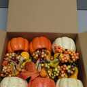 winemana Fall Decorations for Home - Set of 6 Artificial Pumpkin, Berry & Pine Cone Table Centerpiece for Office, Thanksgiving, Bathroom Kitchen Autumn Decor 