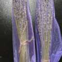 Dried Lavender 2 Bunches 100% Fresh Natural Purple Bouquet Flowers for Bathroom Photo Props Crafts Decoration, 15-17" for Shower Weeding Vase Decor, Home Fragrance(200-220 Stems(100g/3.5oz Total))