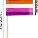 2 x stidsds 100 Pcs Pride Rainbow Flag Sunset Lesbian Toothpick Flags Mini Small Gay LGBTQ Cupcake Toppers Stick Flags Banner Rainbow Party Cocktail Fruit Decoration