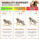 Foldable Dog Ramp for Couch - Portable Dog Ramps for Bed