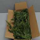 6/9ft Christmas Cedar Garland Artificial Realistic Soft and Thickness Green Faux Fake Full Cedar Pine Garland for Table, Mantle, Wall, Indoor, Outdoor Christmas Decorations (6FT)