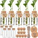 Baderke 12 Pack 3.54'' Plastic Plant Propagation Stations with Hole Lid 4oz Planter Vase Clear Propagation Jars with Thank You Tags for Plant Lover Gifts for Women Office Home Garden