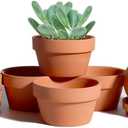 vensovo 3.7 Inch Terracotta Shallow Succulent Pots - 6 Pack Terra Cotta Clay Pot with Saucer, Cacuts Indoor and Outdoor Planters with Drainage Hole (Brown)