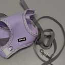 Petank Dog Harness for Small Medium Dogs No Pull, Puppy Harness and Leash Set, Step in Dog Harness for Walking, Running, Training (Purple, L)