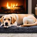 Small Dog & Cat Bed, Washable Warm Winter Fluffy Heated Calming Dog Crate Bed for Small Size Pets, Supportive Plush Crate Pad for Dogs (18 * 12", Dark Grey)