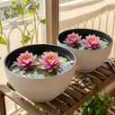 2 Pcs 13.8 Inch Lotus Bowl Planter Large Water Lily Pots Succulent Hydroponic Bowl Pot Flower Planting Pot for Outdoor Indoor Plant Mini Fish Pond No Drainage Hole(Quartz White)