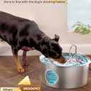Dog Water Fountain for Large Dogs: Big Cat Water Fountain Stainless Steel -1.8Gal/7L Big Quiet Cats Water Bowl Dispenser- Pet Water Fountains for Dogs - 8 Filters + 8 Sponge Filters - GROOKPET