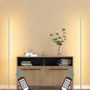 EDISHINE LED Corner Lamp, Set of 2 Minimalist Dimmable Light with Remote, 57.5" Tall Slim Sleek Floor Lamps for Living Room, Bedroom, Office, 7 Color Temperature 2700-6000K, (Silver)