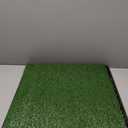 Artificial Grass Puppy Pee Pad for Dogs and Small Pets - 20x25 Reusable 4-Layer Training Potty Pad with Tray - Dog House and Pet Supplies by PETMAKER (Medium)