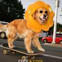 MIDOG Inflatable Dog Cone Collar, Cute Lion Mane Recovery Collar for Large Medium Dogs, Soft Blow-Up Donut Alternative After Surgery, Anti-Lick Protective Neck E-Collar (L, 15"-20")