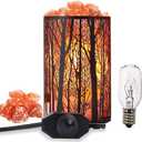 Shineled Salt Lamps, Natural Himalayan Salt Lamp, Forest Salt Lamp with Dimmer Switch, Salt Crystal Night Lights, Retro Metal Basket Decor Desk Lamp with Extra 25W Lamp Bulbs (Retro Red)