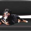 BORDAN Waterproof UTV Seat Cover for Kawasaki Mule PRO-FXT DXT FX DX 2015-2026(Front Seat Only), Heavy Duty 1680D Seat Covers for UTV Full Protection Outdoor (2 PCS)