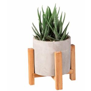 Bambeco 4x14 Succulent (Stand not included)