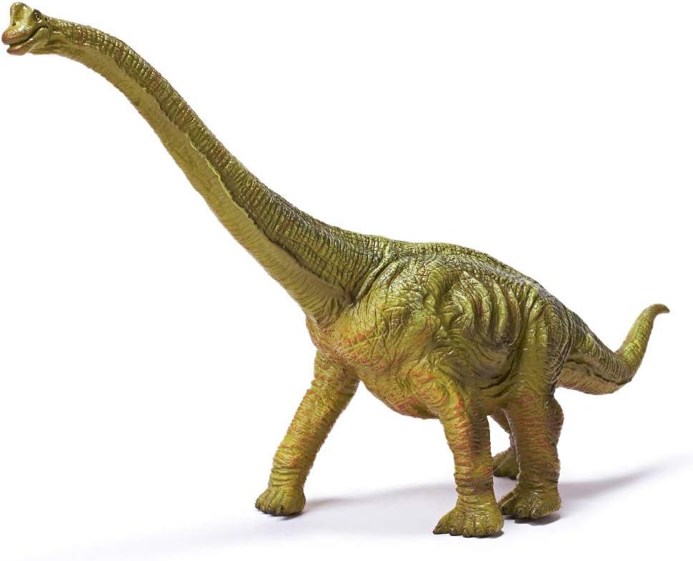 RECUR 13" Brachiosaurus Dinosaur Toys Jurassic Figure Toy for Kids World Safe Odorless Hand-Painted Figurines Realistic Design Replica Collectors Gift Ages 3 +