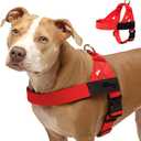 Dog Friendly Co. Dog Harness | Chafe Resistant Webbing, Adjustable Neck & Chest, and Heavy Duty D-Ring | Sturdy, Comfortable, Easy to Use | Red, Size S