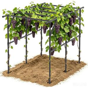 25MM Thickened Grape Trellis - Size: 94.5 x 59.1 x 76 Inches
