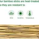 Cambaverd Bamboo Stakes 4ft Natural Plant Stakes for Tomatoes, Beans, Climbing Plants Support - 25 Pack Bamboo Sticks for Plants