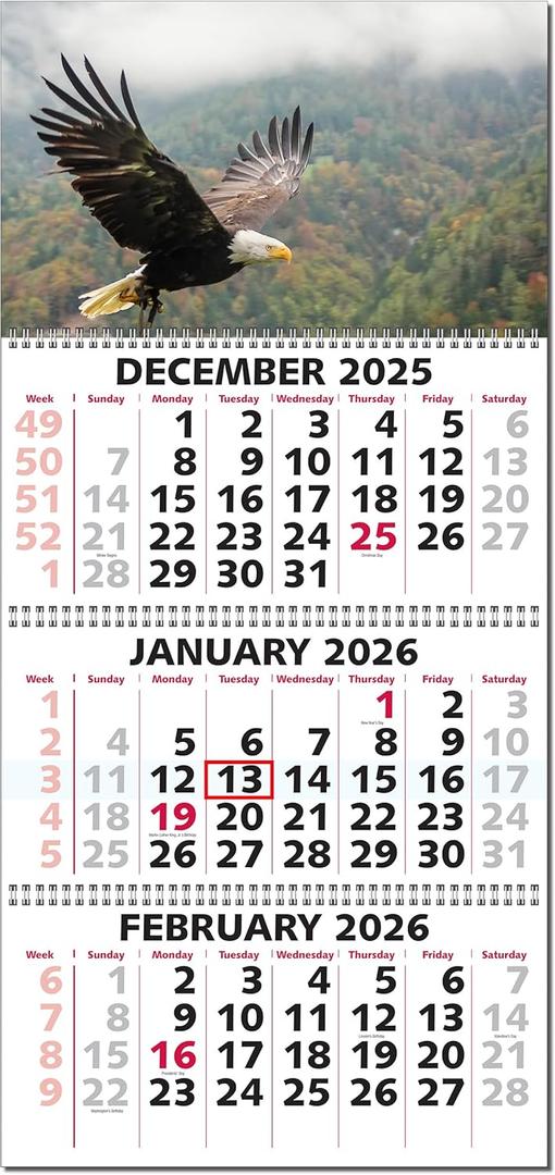 Calendar Company 2026 3 Month at a Glance Wall Calendar with Scenic Bald Eagle (FREE DATE SLIDE!) Made in the USA! (13_Eagle)