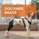 Dog Knee Brace for Torn ACL, Luxating Patella, Arthritis Support, Metal Splint Hinged Leg Brace for CCL Injury, L Size