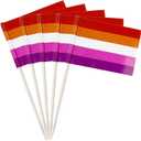 2 x stidsds 100 Pcs Pride Rainbow Flag Sunset Lesbian Toothpick Flags Mini Small Gay LGBTQ Cupcake Toppers Stick Flags Banner Rainbow Party Cocktail Fruit Decoration