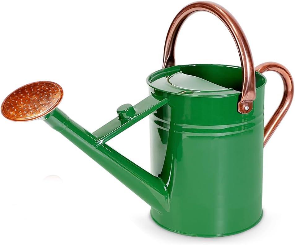 1 Gallon Metal Watering Can with Removable Spout, Nice Galvanized Steel Water Can for Indoor and Outdoor Plants (House Plants)