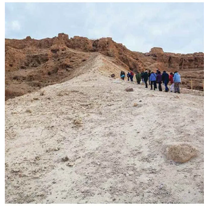 Walking Where Jesus Walked: American Christians and Holy Land Pilgrimage (North American Religions