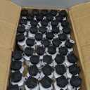 Mini Graduation Bubbles - 12 Count