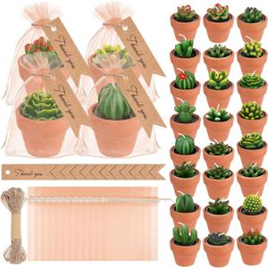MTLEE 24 Pcs Succulent Tealight Candles - Bulk Party & Baby Shower Pack with Terracotta Pot, Organza Bag, Tags, Twine