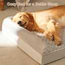 BFPETHOME Orthopedic Washable Dog Beds Large Sized Senior Dog for Comfy Sleeping with Removable Cover, Waterproof Big Soft Pet Couch Bed for Dogs Relax, 28"l x 23"w x 6.5"th, Light Grey