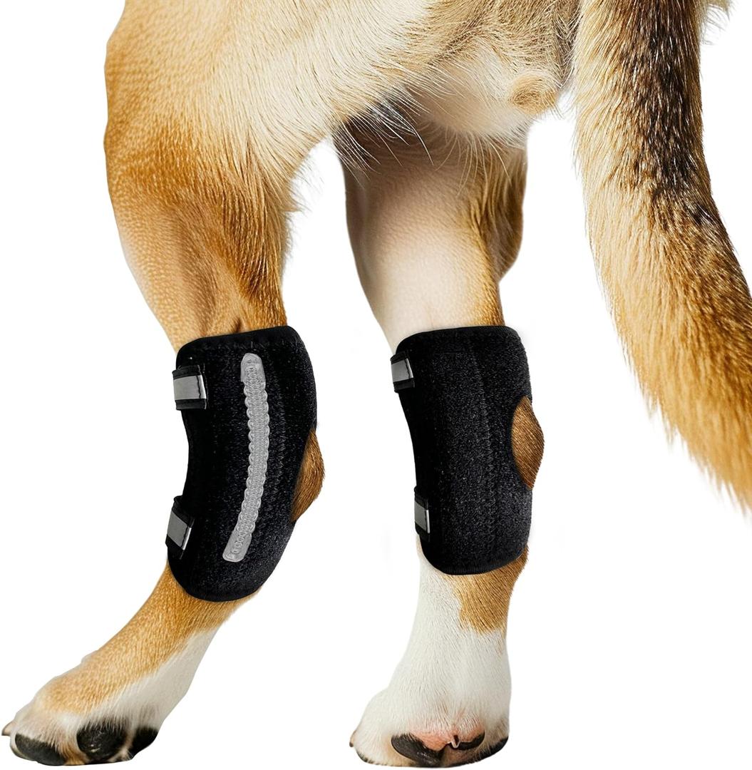 Dog Knee Brace for Rear Leg Torn ACL, Canine Rear Hock Joint Support, Joint Injury and Sprain Protection, Removable Design, Comes with 2 Spring Bars and 2 Steel Bars (M Pair)