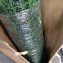 DOPGIB Artificial Boxwood Grass Wall Roll: 48"x120"(40 SQFT) UV Protected