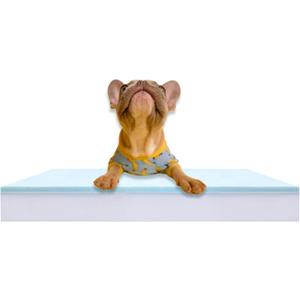 Pet Bed Foam Insert/Dog Bed Pad (3"x26"x34") (3"x26"x34")