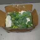 Dolicer 4Pcs 26Ft Artificial Eucalyptus Garlands with Flowers - 8 Roses, Faux Floral Greenery Garlands Fake Flowers Vines for Wedding Table Centerpieces Arch Party Ceremony Backdrop Decor (White)