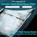 Shilucheng Goose Down Pillows Queen Size Set of 2, Side Sleeper Pillow for Sleeping Neck Pain Relief,100% Cotton Shell Hotel Quality PillowsWhite,20" x 30"