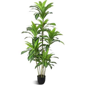 Artificial Plants 6Ft Dracaena Fragrans Faux Trees with 8 Heads Fake Tree for Home Decor Indoor or Outdoor Office Decoration Housewarming Gift