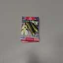 8 x 30+ Seeds Zucchini Sungreen - Vegetable Green