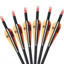 Musen Archery 30/28 Inch Carbon Practice Targeting Arrows with Removable for Youth Compound & Recurve Bow Target (Pack of 12)