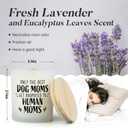 New Mom Gifts for Pregnant Women, Congrats on Pregnancy Gifts for Expecting Moms, Mom to Be Gift for Pregnant Daughter Wife Friend, First Time Mommy Birthday Mothers Day Present Candle