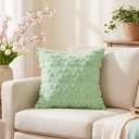 AVOIN colorlife Spring Pet Dog Paws Light Green Throw Pillow Covers, 18 x 18 Inch Soft Plush Faux Fur Jacquard Cushion Case Farmhouse Decoration for Sofa Couch Set of 2