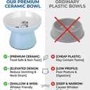 Raised Cat Food Bowl Ceramic Elevated Cat Bowl for Whisker & Neck Fatigue,Non-Slip & Anti Vomiting Pet Feeder for Kittens to Adult Cats and Small Dogs,Dishwasher Safe(Blue)