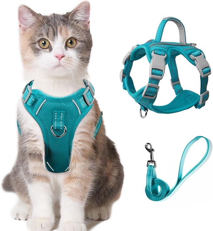Cat Harness and Leash Set Escape Proof for Kitten Walking, Soft Adjustable Top Handle Vest Harnesses for Cats, Easy Control Breathable Reflective Small Medium Large, Blue Orange, S