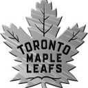NHL Chrome Automobile Emblem