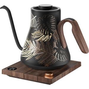 Electric Kettle, Gooseneck Electric Kettle, 1 Precise Temperature Control, Stainless Steel Interior, Quick Heating for Pour Over Coffee, Tea & Boiling Water, 0.9L (Rainforest)