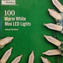 Home Accents Holiday 100ct Warm White LED Mini String Lights w/Green Wire NEW